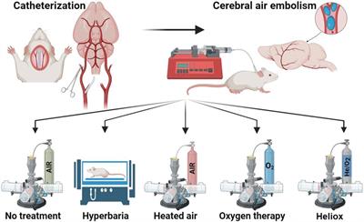 Effect of a helium and oxygen mixture on physiological parameters of rats with cerebral arterial air embolism